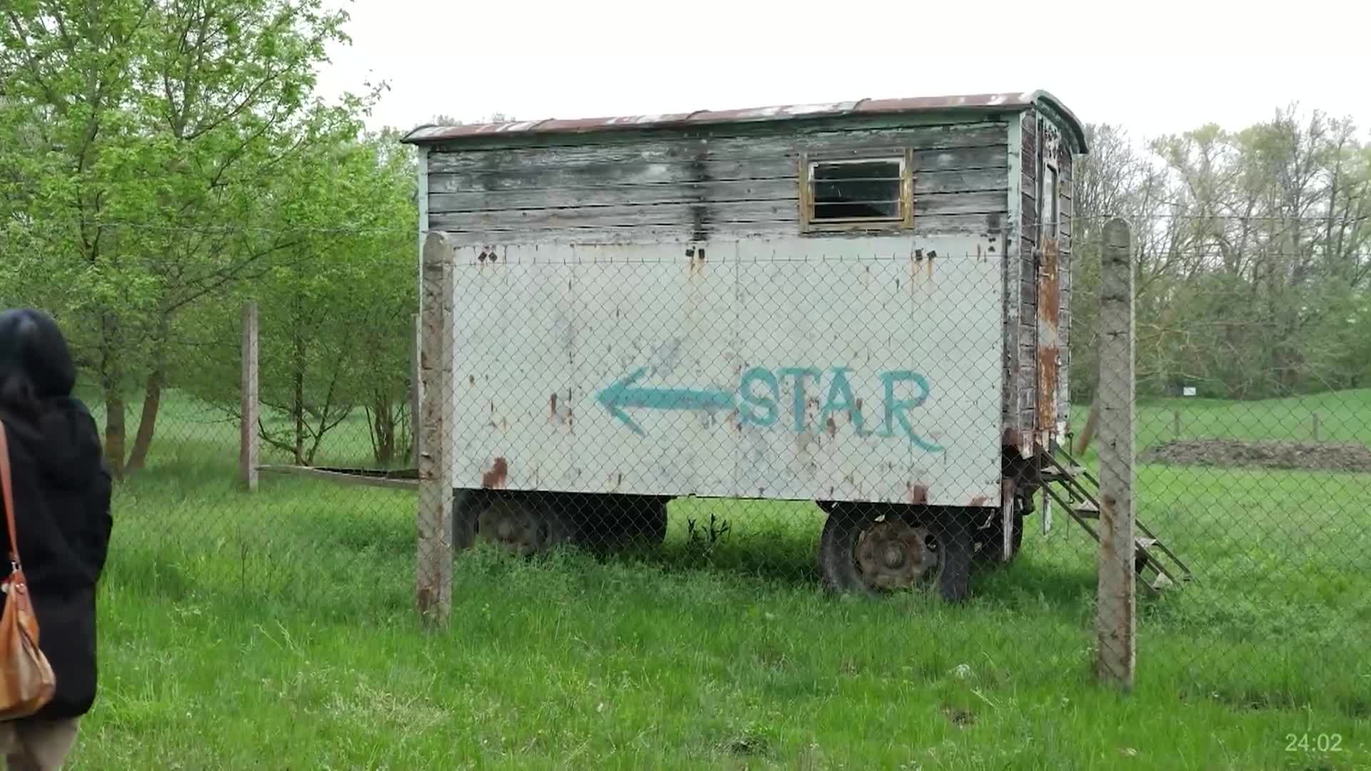 Strata: Portraits of Humanity - June 2025