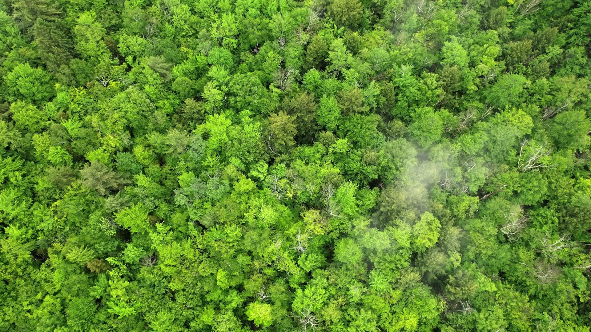  Opening the Outdoors to Everyone: AMC’s Outdoor Journey Fund