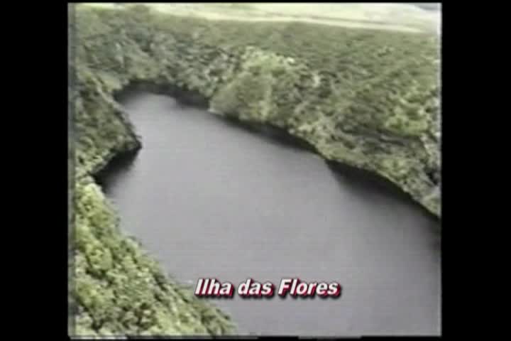 DEDILHANDO A SAUDADE 1-11-2026