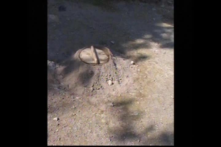 DEDILHANDO A SAUDADE 1-25-2026