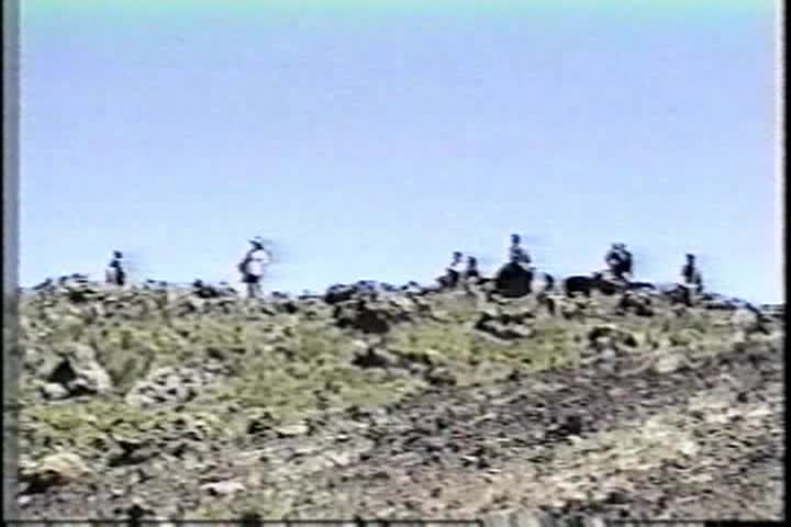 DEDILHANDO A SAUDADE 2-15-2026