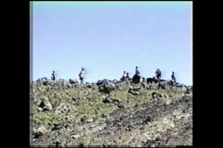 DEDILHANDO A SAUDADE 2-22-2026