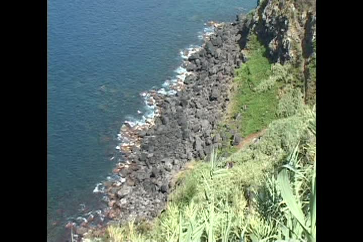 DEDILHANDO A SAUDADE 3-8-2026